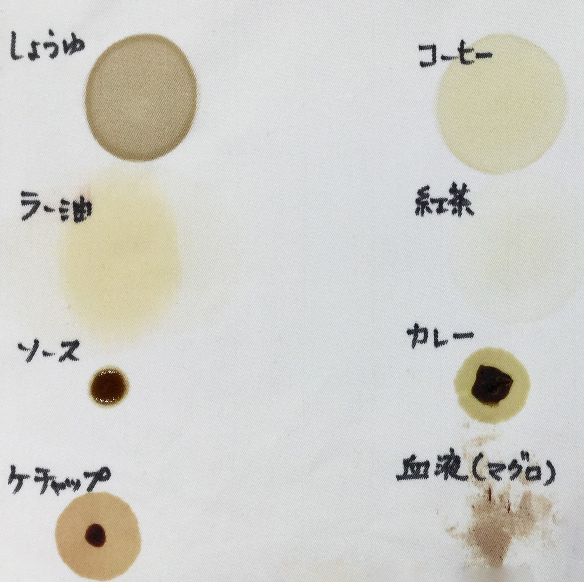 防汚性実験